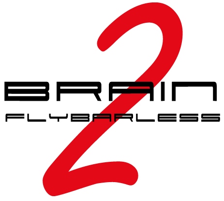 brain2-logo-msh.jpg
