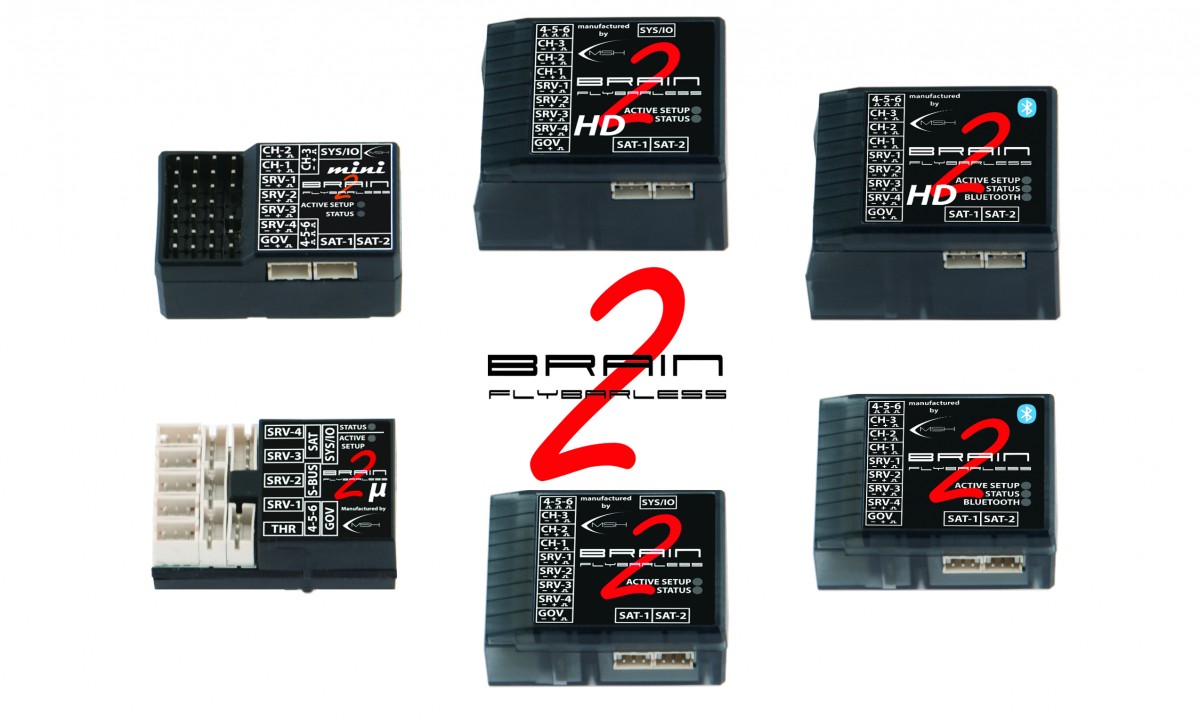 msh-brain-2-version.jpg msh-brain-2-version.jpg